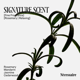 Texture du Shampooing Romarin de Nécessaire sur une main