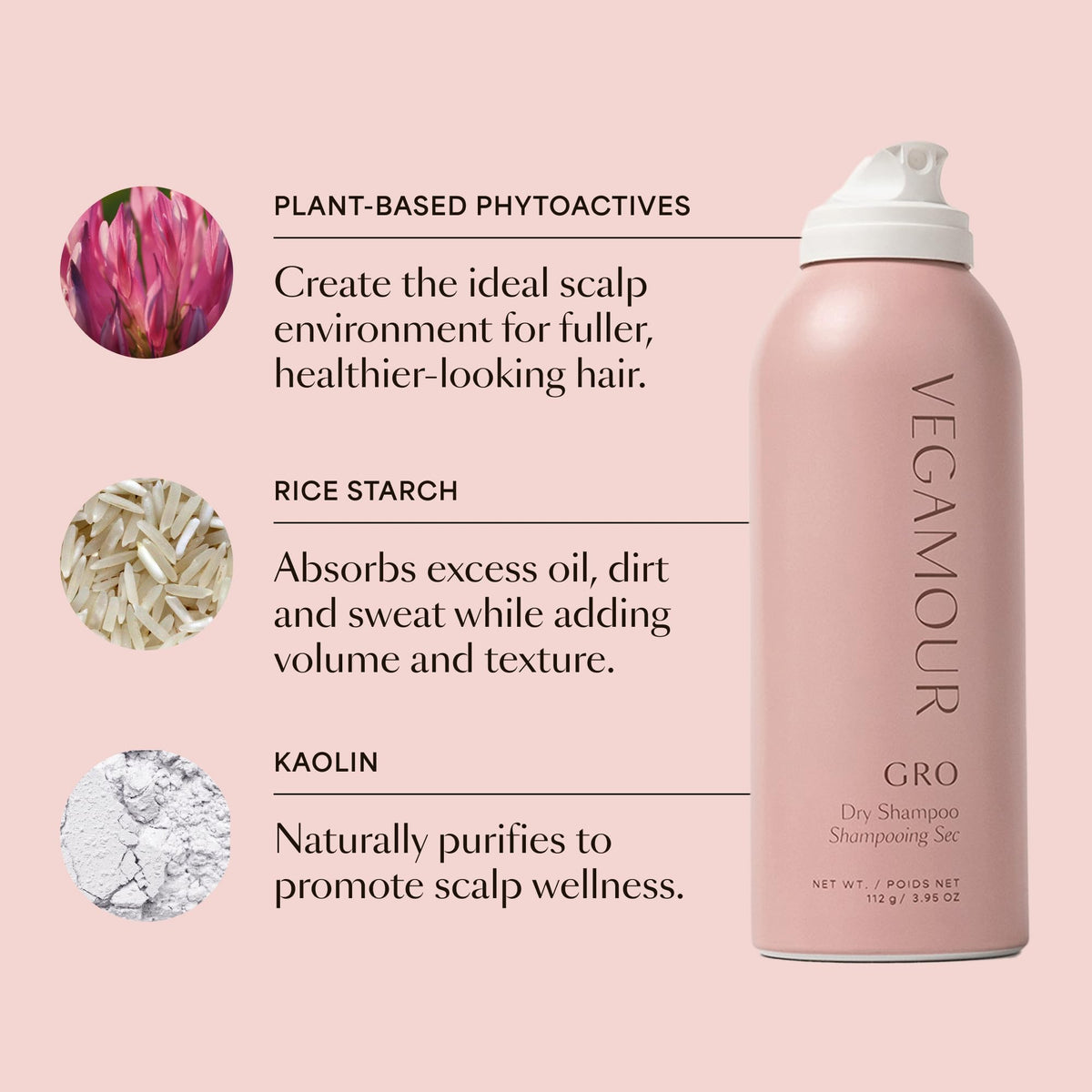 Texture du shampooing sec VEGAMOUR