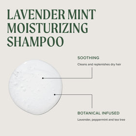 Texture du shampooing Tea Tree Lavande Menthe sur une main