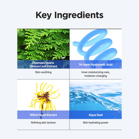 Texture liquide du toner IsNtree sur la peau