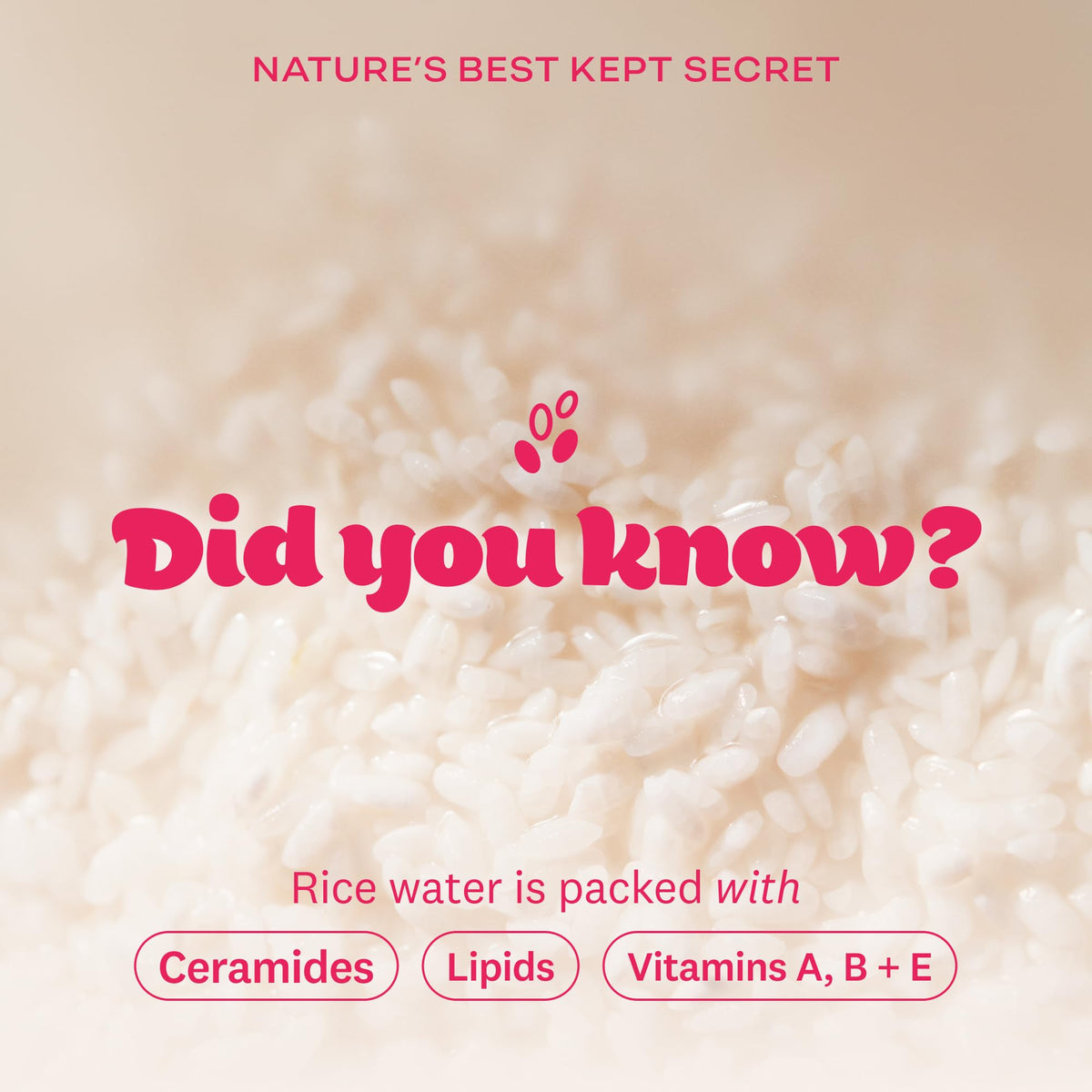 The Face Shop lingettes démaquillantes Rice Water emballage scellé