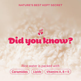 The Face Shop lingettes démaquillantes Rice Water emballage scellé