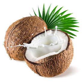US Organic Huile de Coco Fractionnée MCT 240 ml sur fond blanc