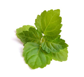 Utilisation de l'huile essentielle de patchouli dans un projet DIY