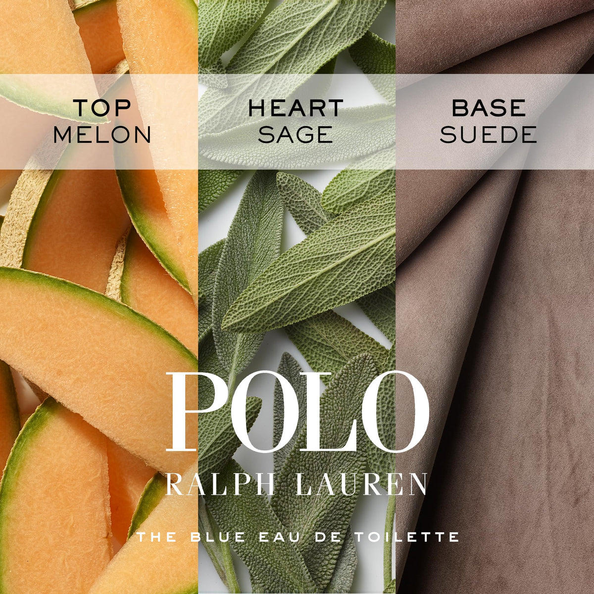 Vaporisation de Polo Blue sur la peau, mise en scène d'application