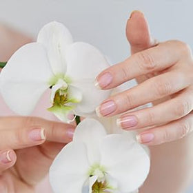 Zoom sur le flacon de 15 ml de Perfect Formula
