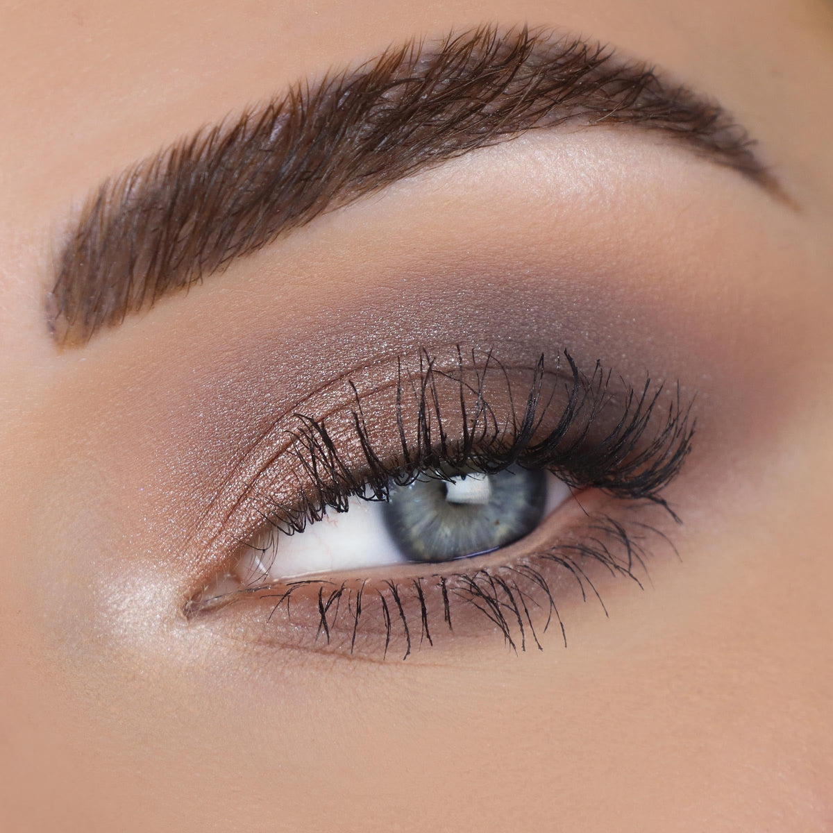 Zoom sur les teintes métalliques de la palette Stone Cold Fox